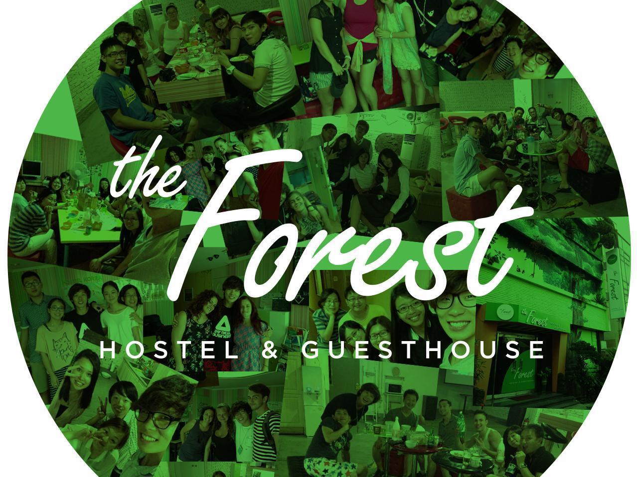 The Forest Hostel Jeju Esterno foto